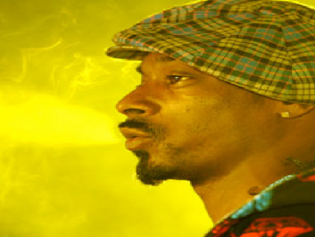 snoop.png