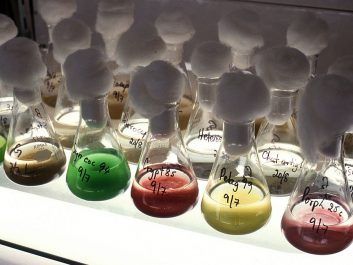 CSIRO_ScienceImage_2970_Collection_of_microalgae_cultures.jpg