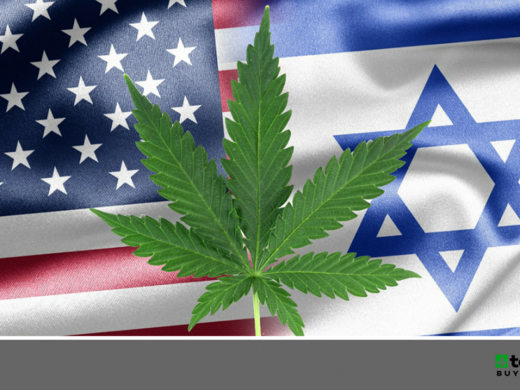 Israel Plants Its Flag In The U S Cannabis Industry Technical4 Technical4