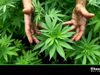 Canopy Growth.png