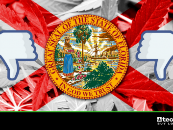 Florida (1).png