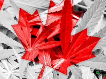Organigram.png
